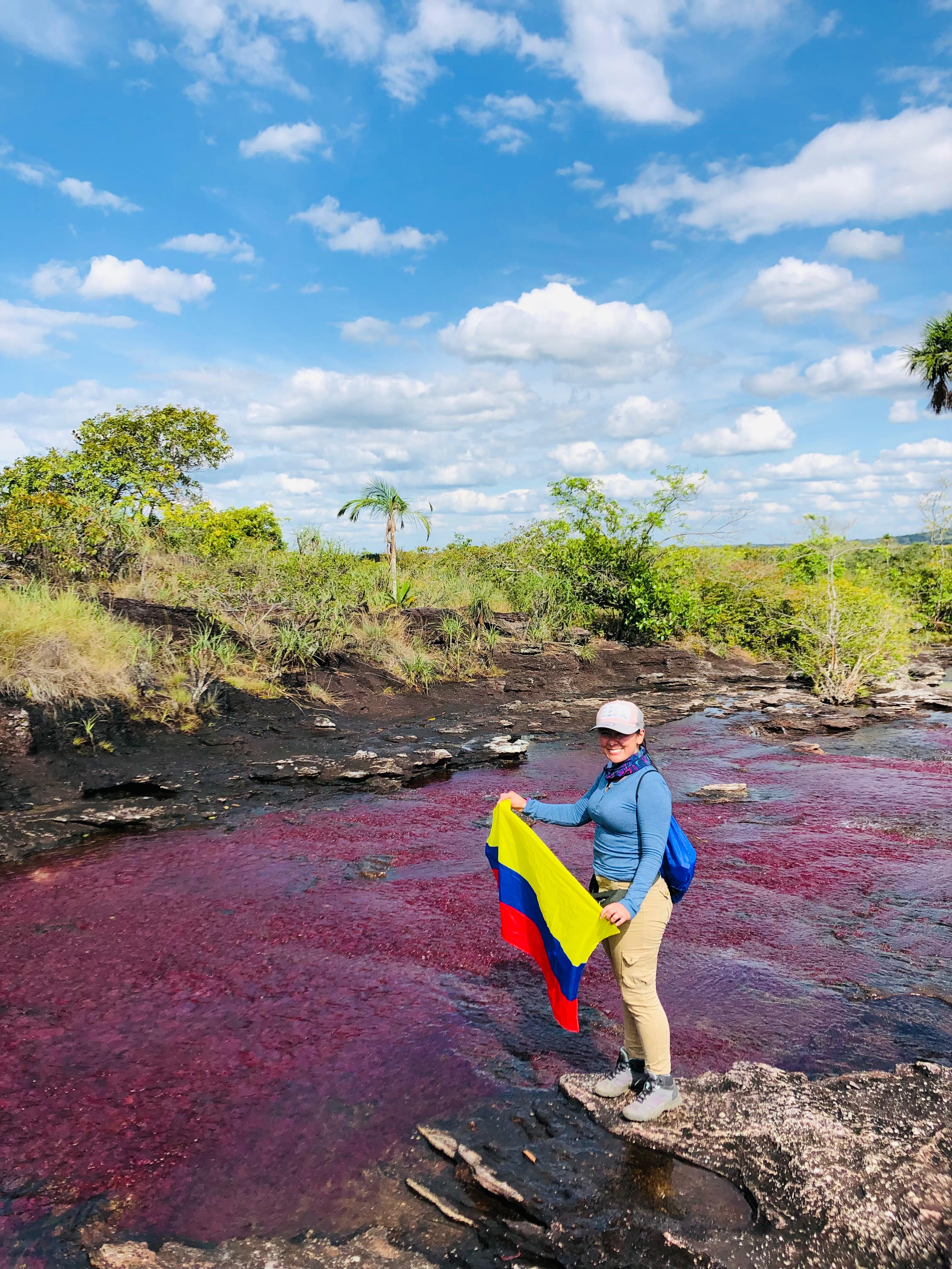 Transporte Corporativo